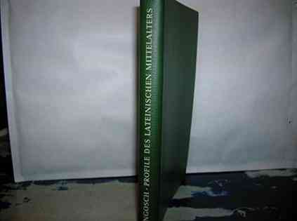 Profile des lateinischen Mittelalters