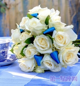 送什么花代表友谊?