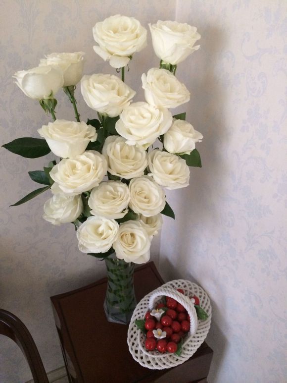 白玫瑰花语是什么