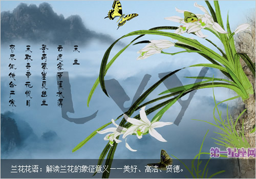 兰花花语:解读兰花的象征意义