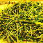 生煸豆苗