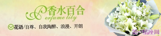 香水百合花语：送香水百合代表什么意思？