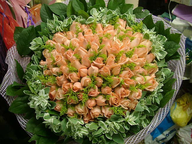 玫瑰